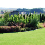zielone ogrody jerzmanowa